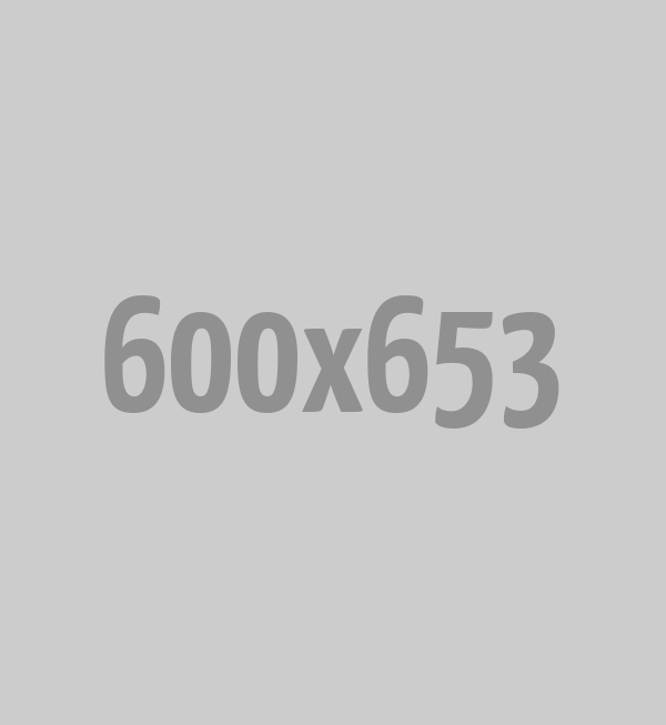 divi-laboratory-theme-image-8
